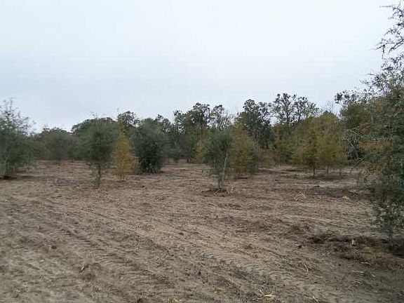 2nd image of Vacant Ne Delphinium Dr #0