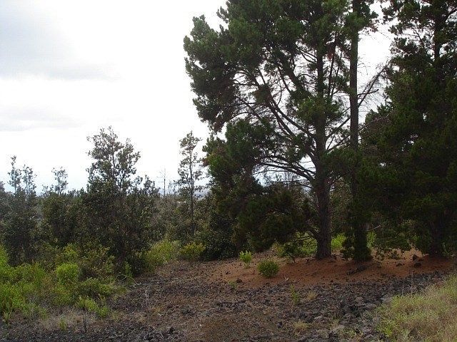 2nd image of Palm Pkwy Lot 5