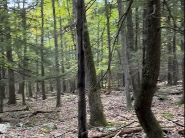 Tbd Jonet Lane, Bearsville, NY 12409