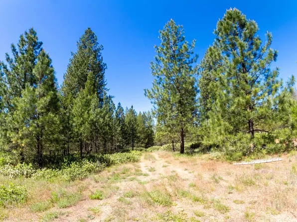 29 N Hardesty Rd, Chattaroy, WA 99003