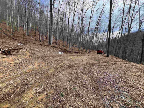 1251 County Highway 40 Rd #11, Duck, WV 25063