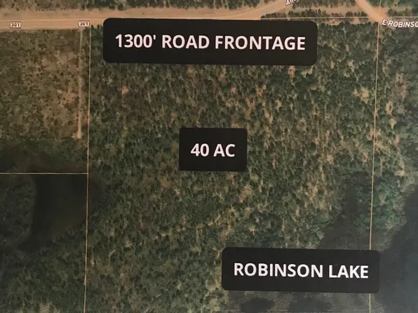 0 E Robinson Lake Rd, Roscommon, MI 48653