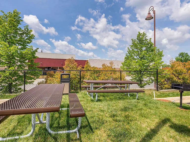 Picnic Area