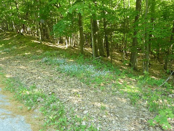 2nd image of Oo Point Betsie Rd
