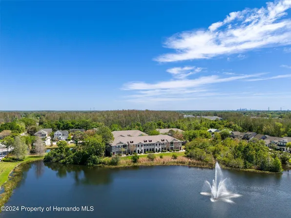 10409 Crimson Park Ln APT 105, Tampa, FL 33626