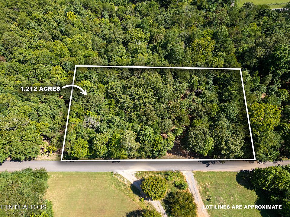 2nd image of 125 Pinecrest Dr