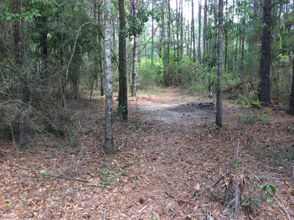 1 Weaver Place Rd, Opp, AL 36467