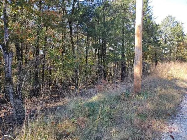 335 Wallace Drive, Rockaway Beach, MO 65740