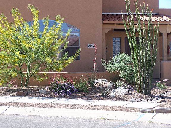 3rd image of 129 E Placita De Aretes
