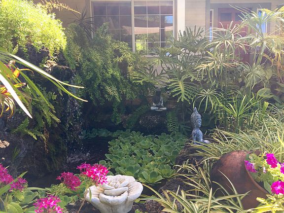 Pond/Waterfall Feature