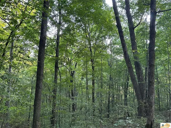 Carl Page Rd, Tompkinsville, KY 42167