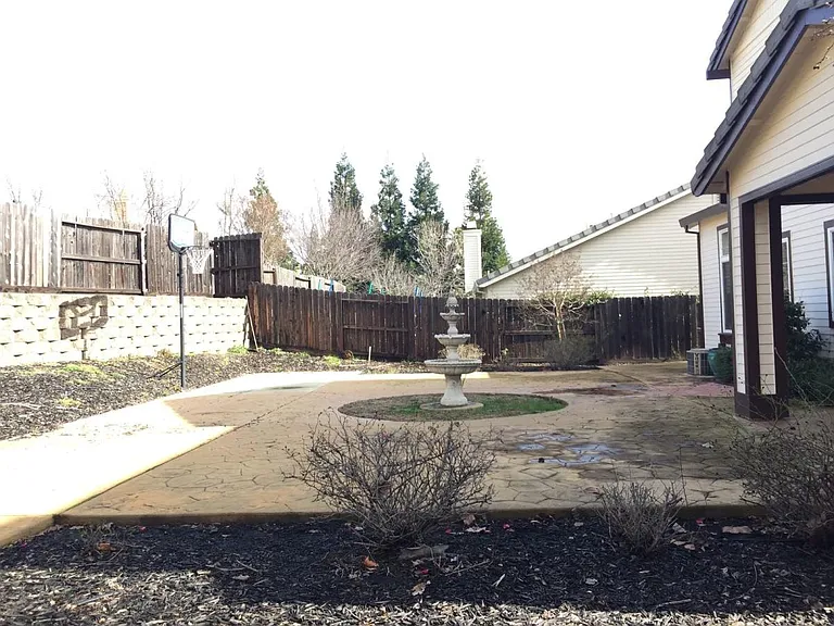Back yard