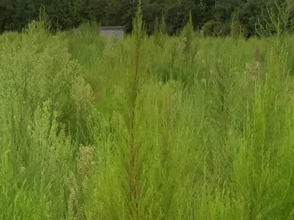 69 Pickle Rd, Salters, SC 29590