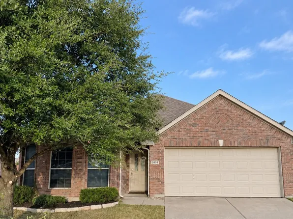 2803 Arabian Ln, Celina, TX 75009