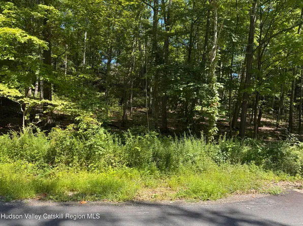 17 Vanessa Lane, Staatsburg, NY 12580