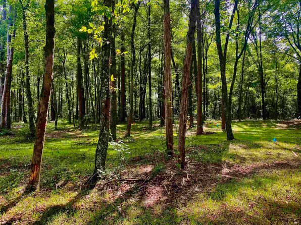 76 Highway, Williston, TN 38076