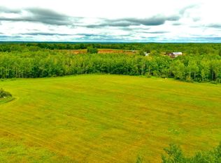Na Balsam Fir, Willow River, MN 55795