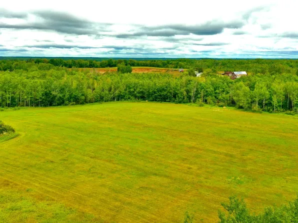 Na Balsam Fir, Willow River, MN 55795