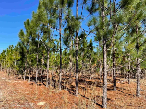 0 Maxwell Oneal Rd, Lyons, GA 30436