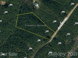 2925 E Paradise Harbor Dr, Connelly Springs, NC 28612