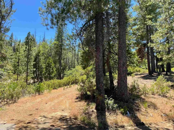 120 Highway, Groveland, CA 95321