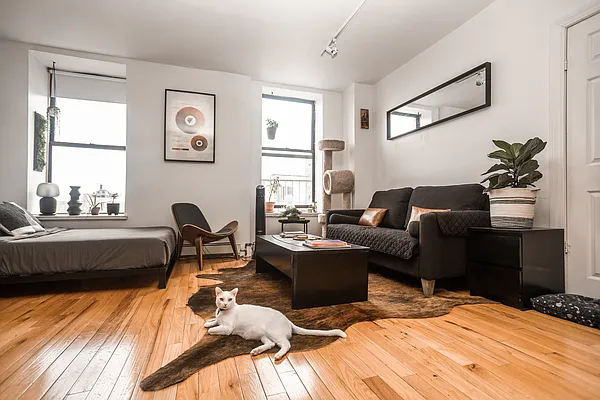 Rented by Blip LLC | media 4