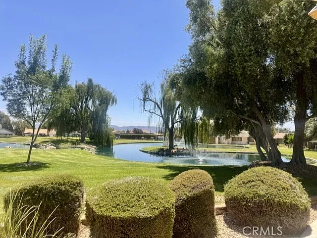 40913 Lincoln Pl — Photo 18