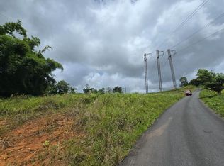 46 Parcela En Bo Jacanas, Yabucoa, PR 00767