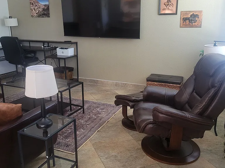 A closer pic of one of the recliners.