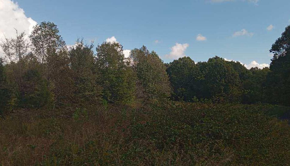 2nd image of 0 McNabb Creek Rd