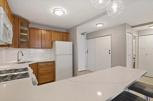 400 E Randolph St #2604 — Photo 4