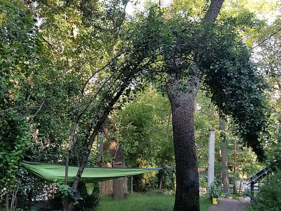 Quiet Lakeview Siesta Perch