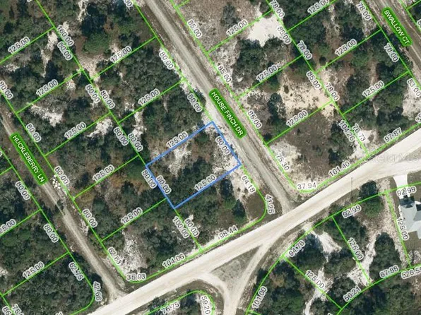 602 House Finch Dr #12, Lake Placid, FL 33852