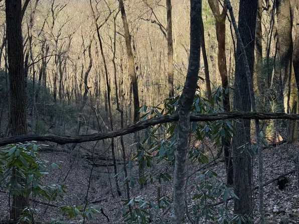 0 Arbutus Trl, Clayton, GA 30525