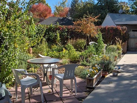 Back Garden