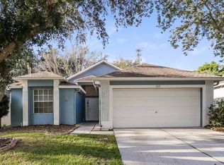 209 Chardonnay Pl, Valrico, FL 33594