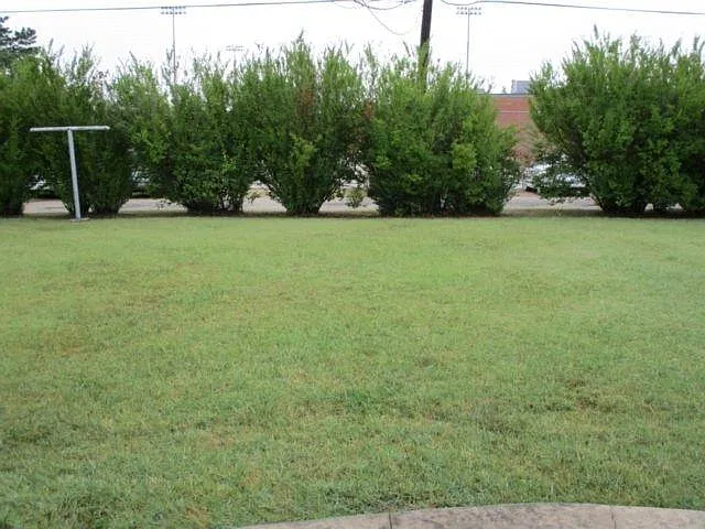 3 bed, 1045 sqft, $1,150 — Photo 2