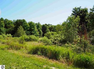 0 Fran Ave LOT 32, Frankfort, MI 49635