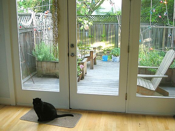 View from sunroom