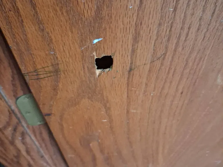 Hole in door