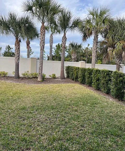 Fenced yard