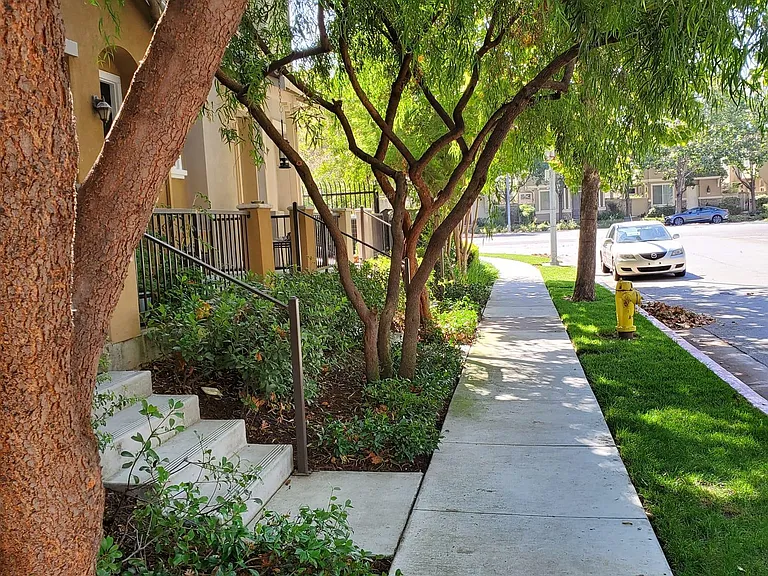 2458 Autumnvale Ave — Photo 7