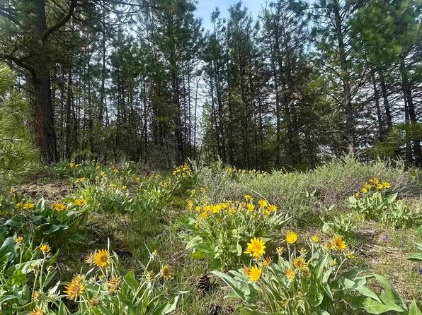 Chargers Dr, Boise, ID 83716