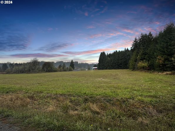 67640 Neverstill Rd, Birkenfeld, OR 97016