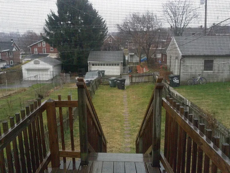 deck/yard