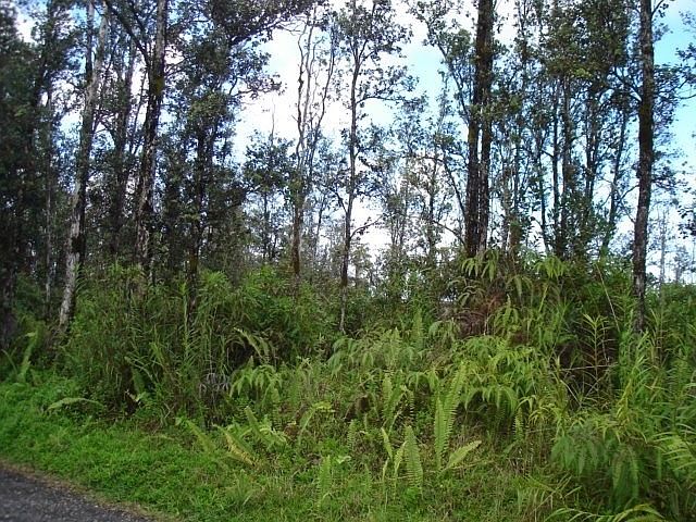 2nd image of 40th St Lot 75