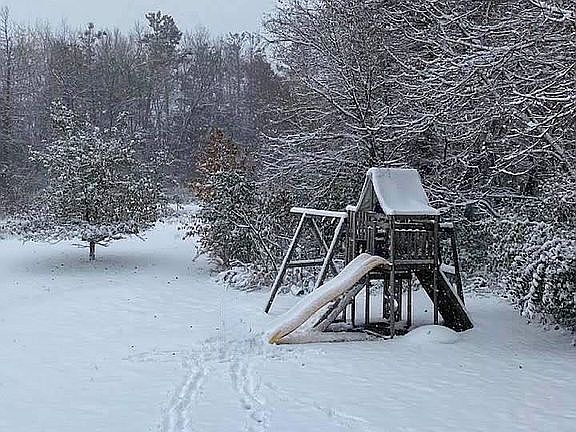 Back yard 