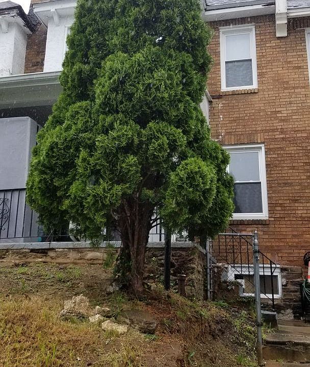 1st image of 1125 E Stafford St