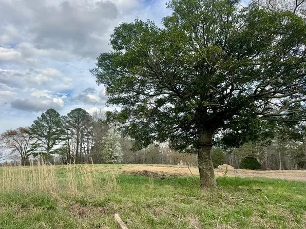 TRACT 2 Mount Pleasant Rd, Dalton, GA 30721