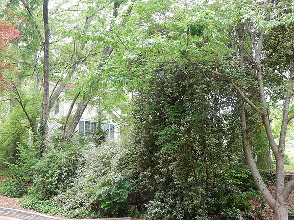 2nd image of 230 Rhine Dr